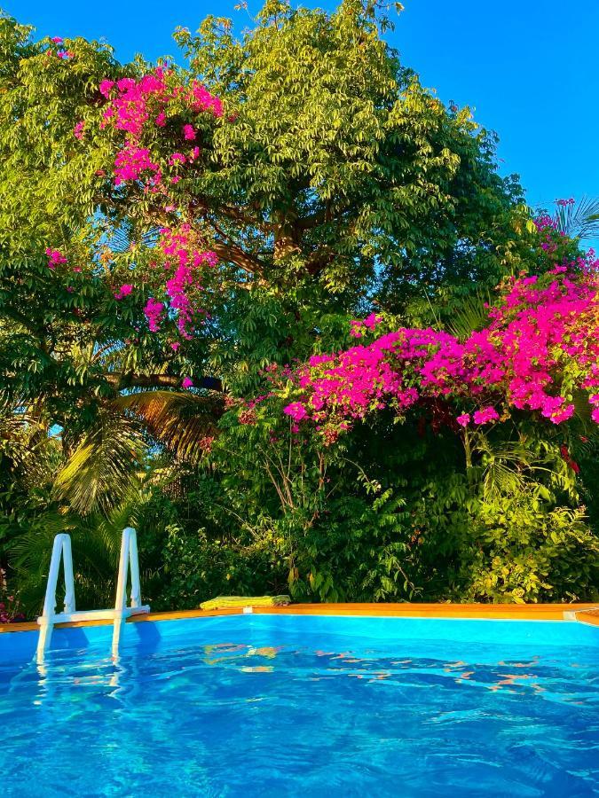 Villa Nature Caraibe Lodge, Vue Mer, Piscine Privee Deshaies Buitenkant foto